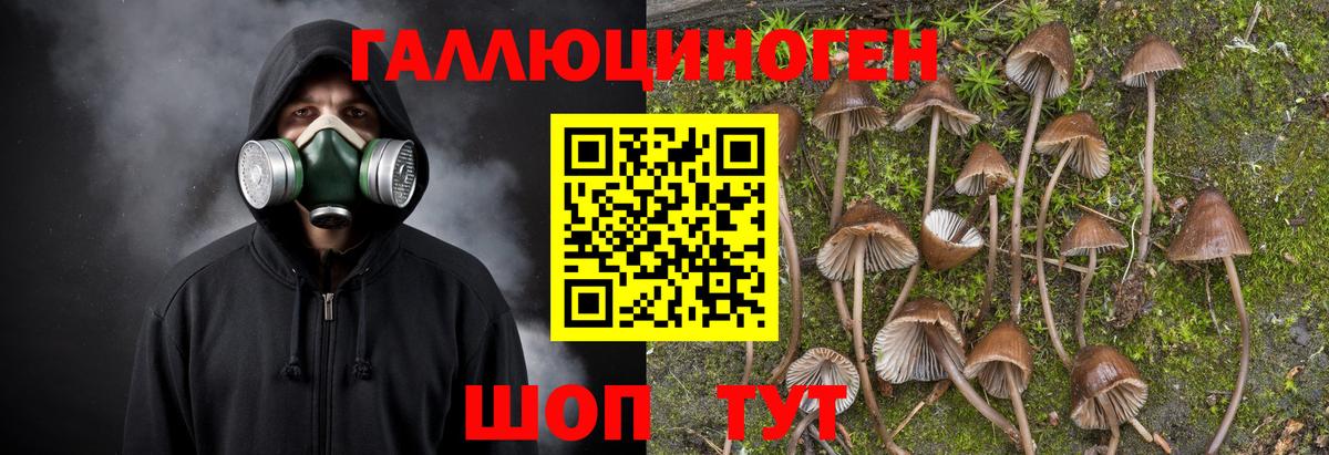 Галлюциногенные грибы мицелий  Вход с VPN  Абакан 